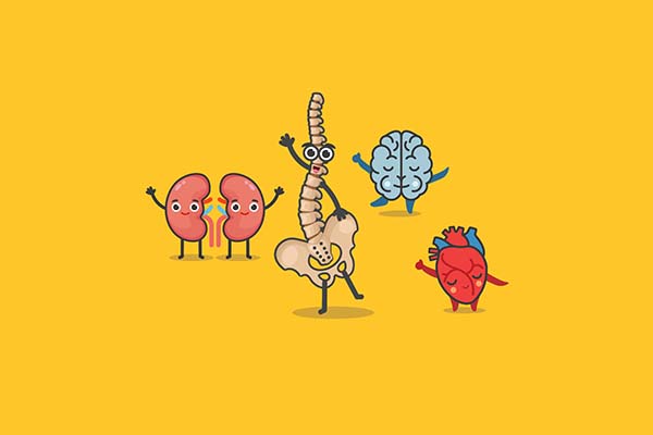 anthropomorphic body parts illustration