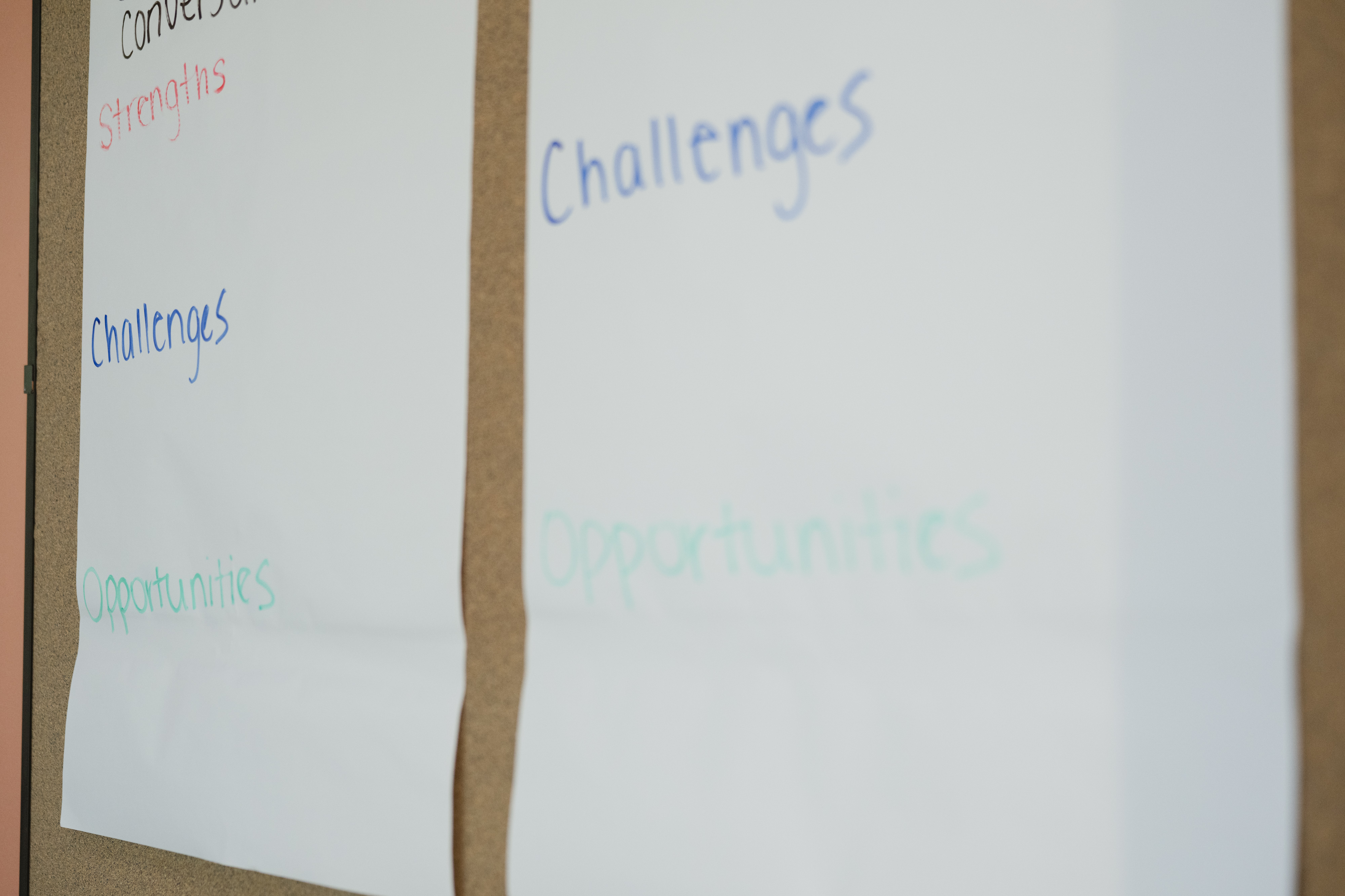 Childhood Prosperity Lab Activity