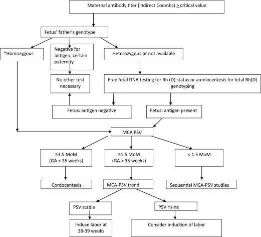 Management Algorithm Chart