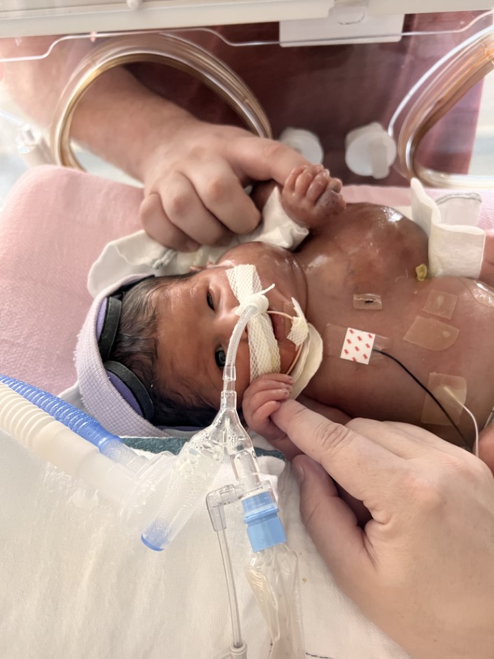 Family submitted fetal care patient story photos.