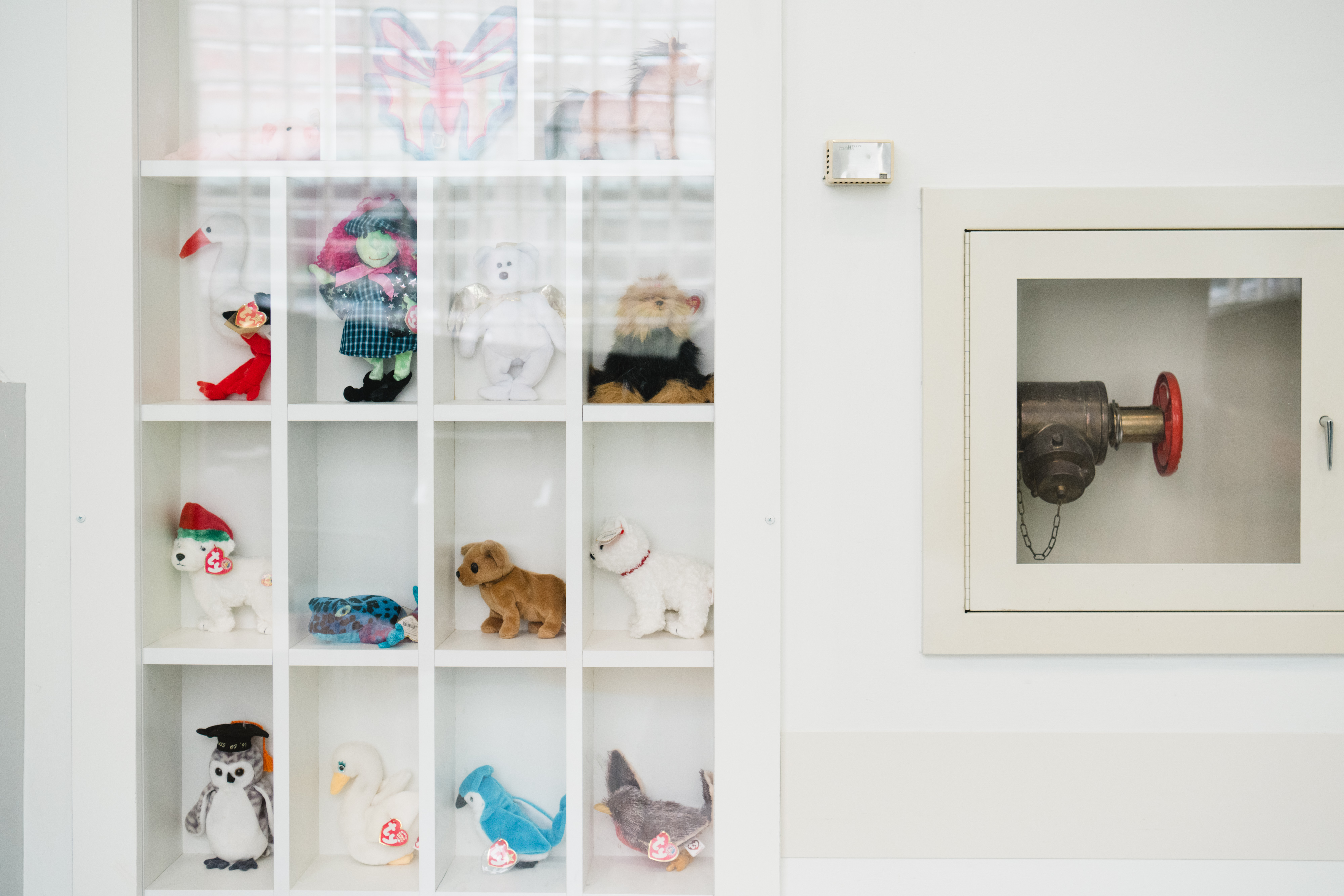 Beanie babies in a display in the emergency room lobby.