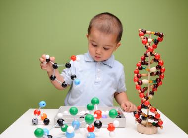 Child looking at DNA model.