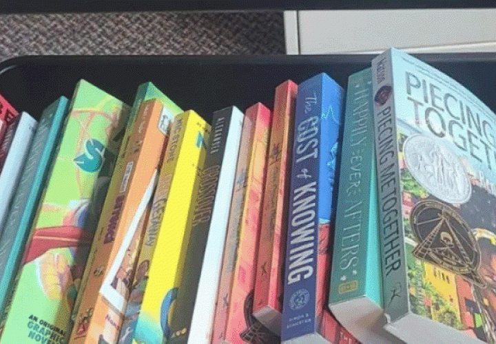 Books on the I see me Story Cart