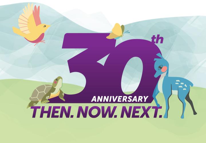 30th Anniversary Header Graphic