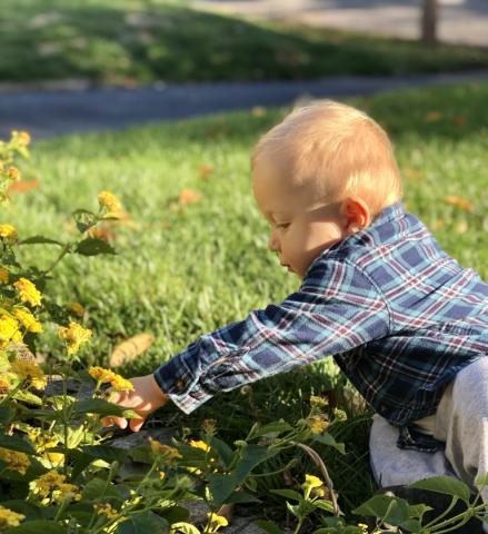 JJ outside picking flowers