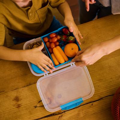 Child with healthy foods in lunch box
