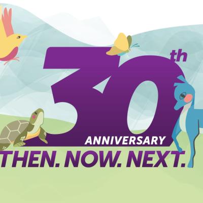 30th Anniversary Header Graphic